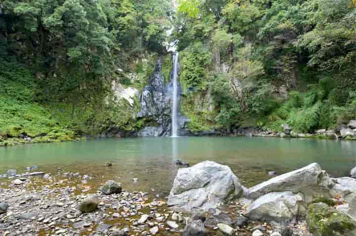 ������E�S�i